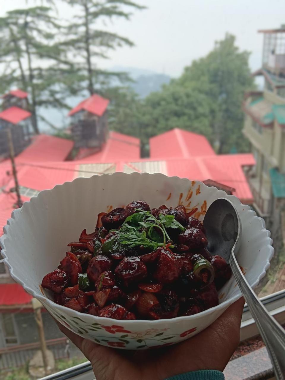 Hotel Jakhu Heights Shimla Eksteriør bilde