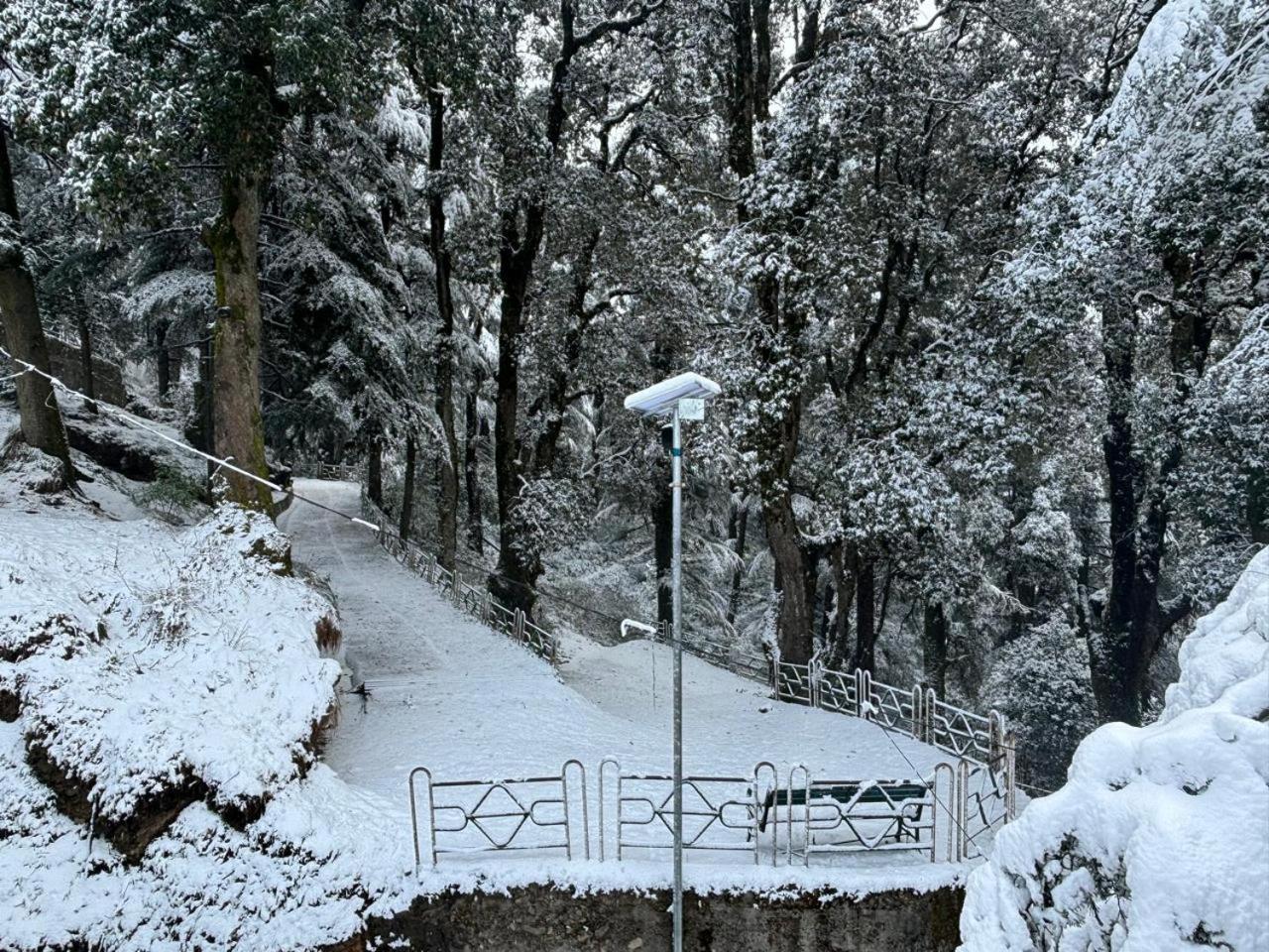 Hotel Jakhu Heights Shimla Eksteriør bilde