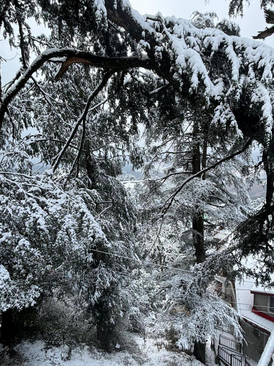 Hotel Jakhu Heights Shimla Eksteriør bilde